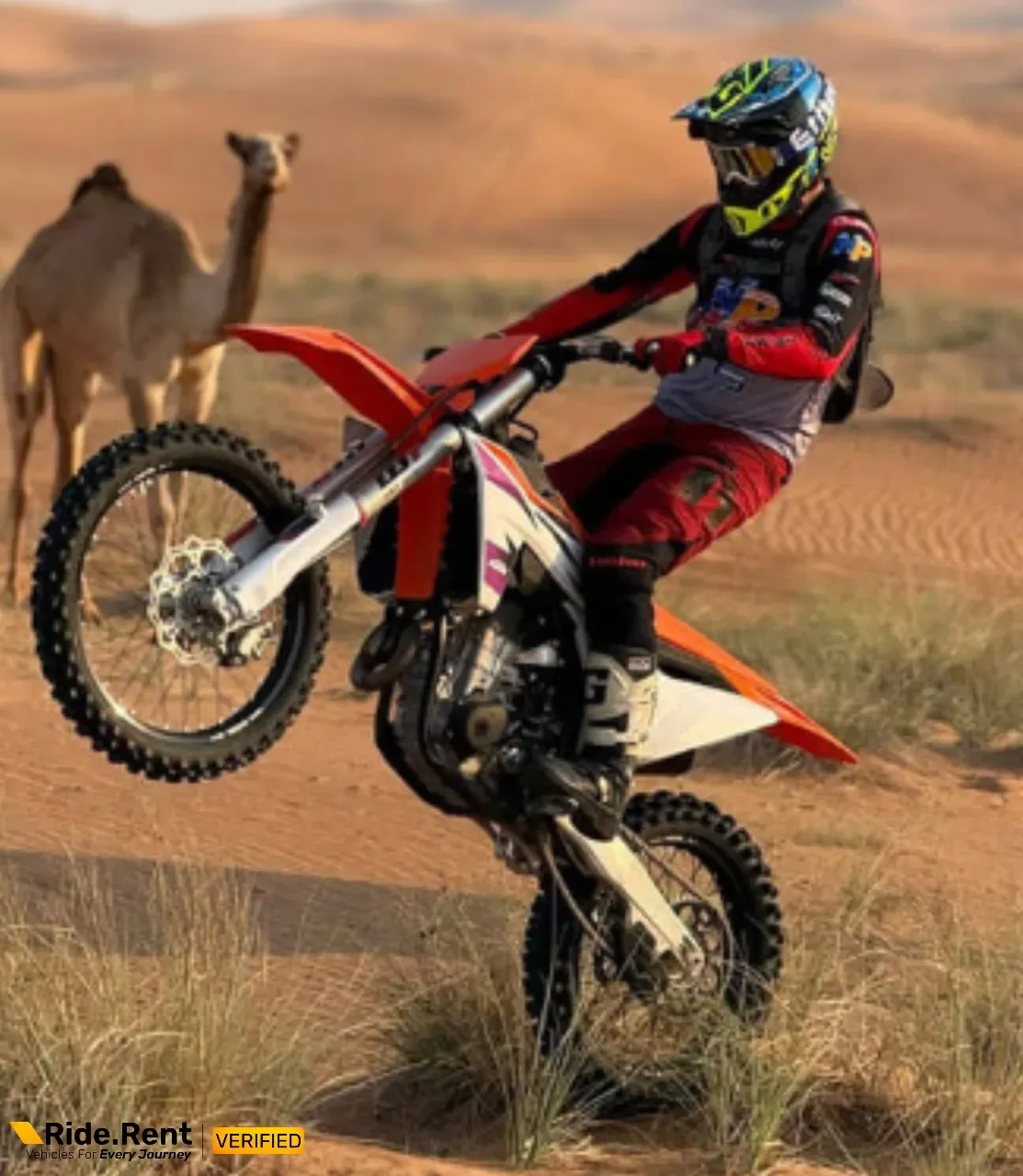 KTM 450 SX-F 2024