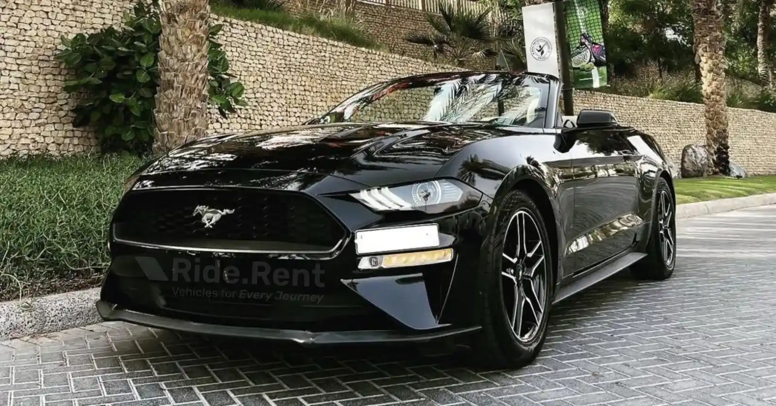 Ford Mustang 2019