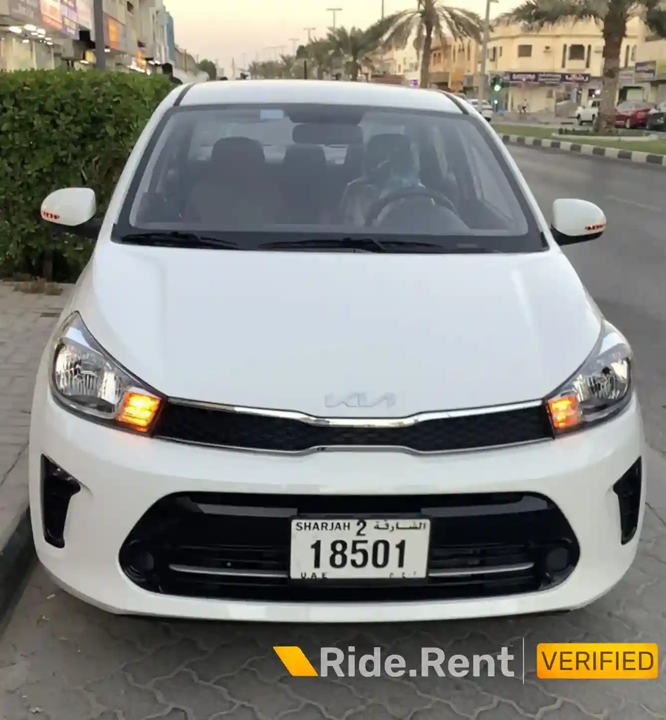 Kia Pegas 2024