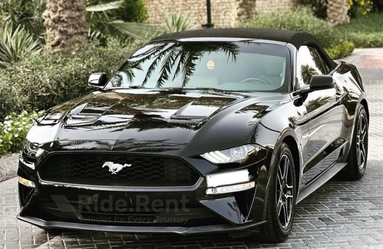 Ford Mustang 2019