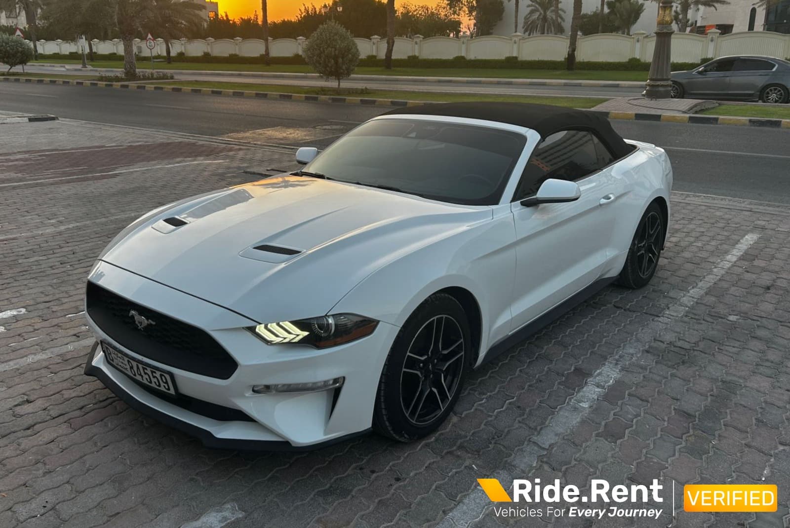 Ford Mustang 2021 2