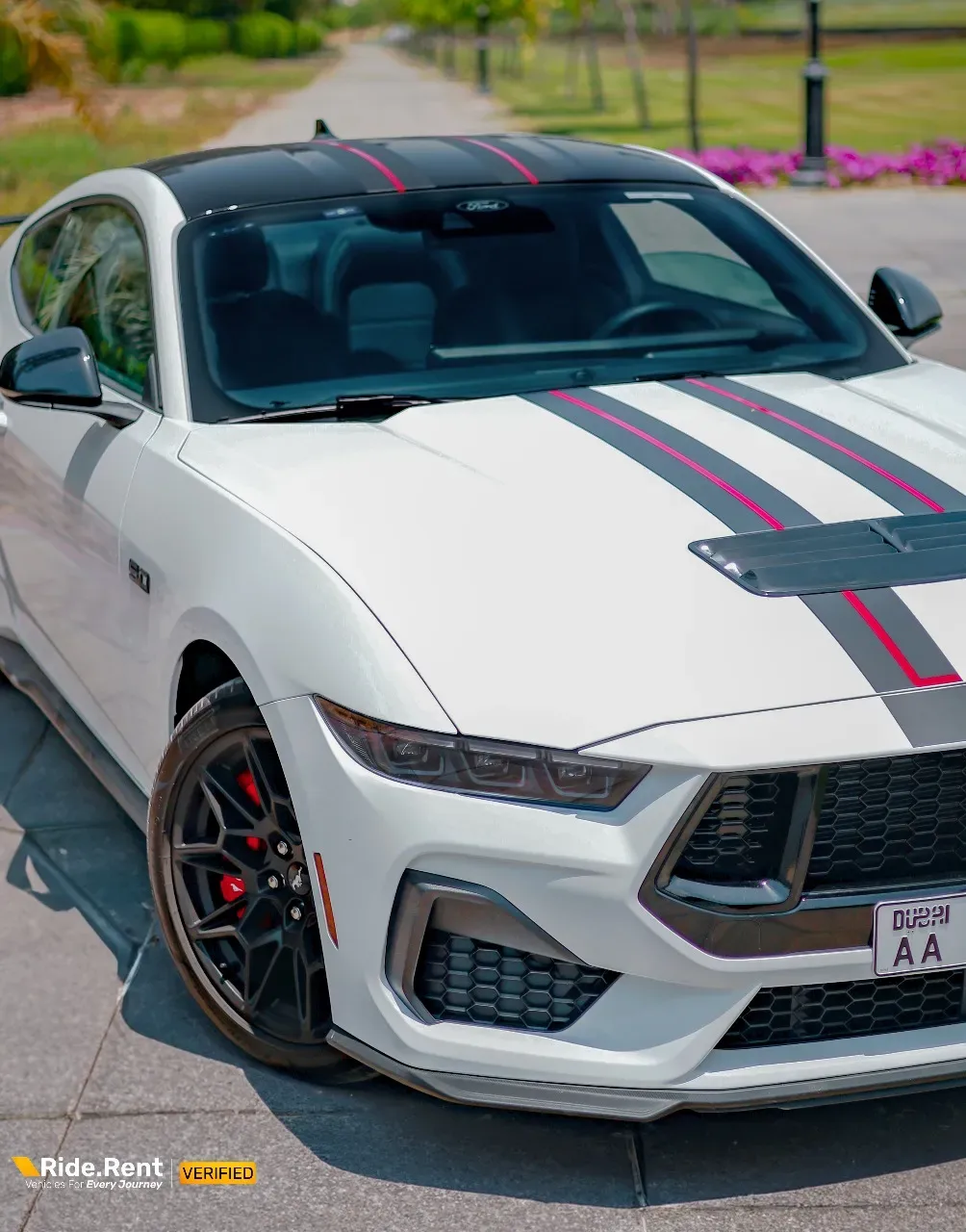 Ford Mustang 2024
